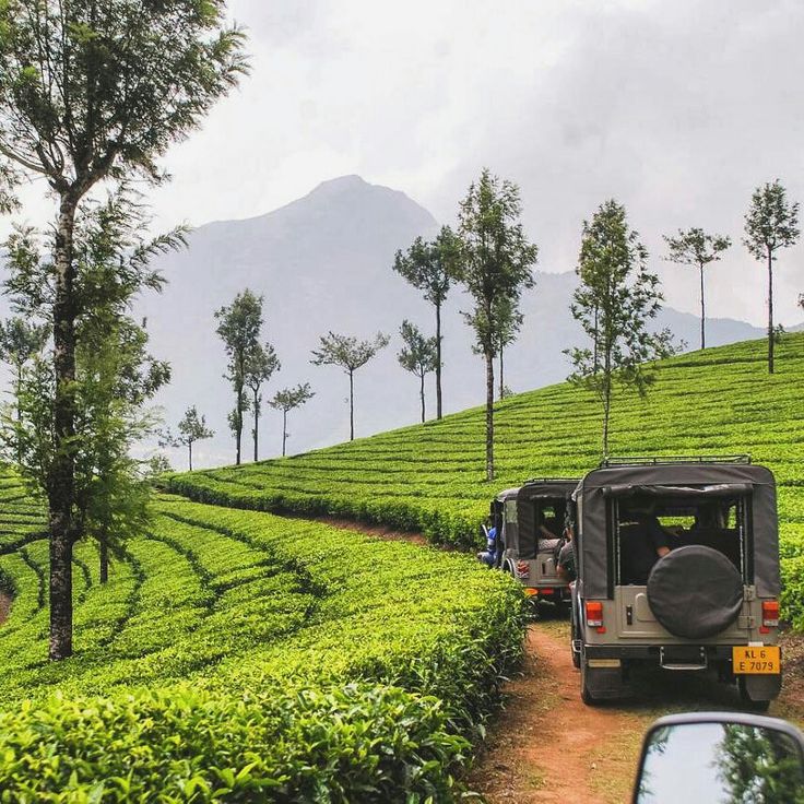Munnar Tour Package